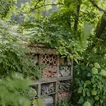 Hofstatt Salzburg - Im Gruenen Am Stadtrand Von Salzburg * Sollheim