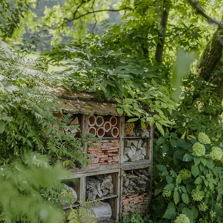 Hofstatt Salzburg - Im Gruenen Am Stadtrand Von Salzburg * Sollheim